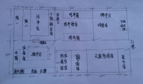 潔凈實驗室平面布局圖